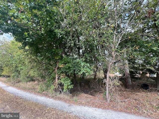 162-164 Powell Rd, Woodbine, NJ 08270