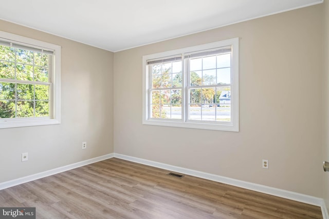 spare room with light hardwood / wood-style floors and a wealth of natural light