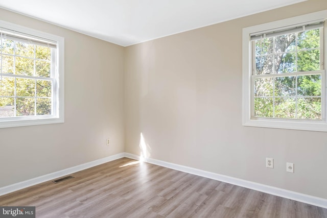 empty room featuring light hardwood / wood-style floors and plenty of natural light