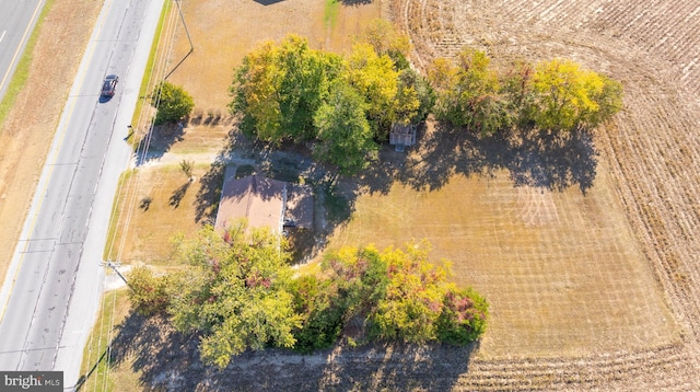 bird's eye view featuring a rural view