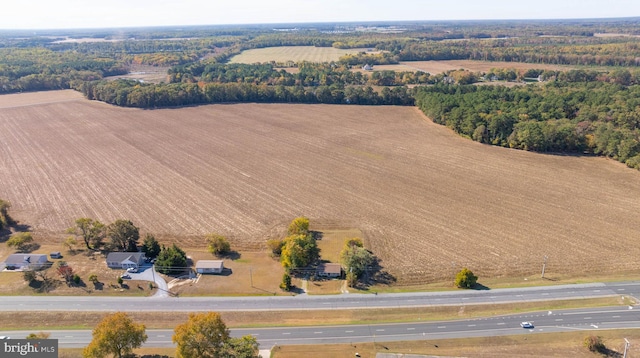 birds eye view of property featuring a rural view