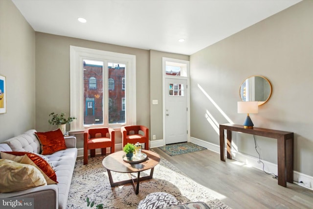 living room featuring light hardwood / wood-style floors