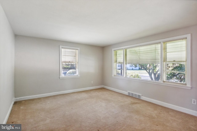 spare room with light colored carpet and a healthy amount of sunlight