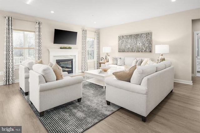 living room featuring wood-type flooring