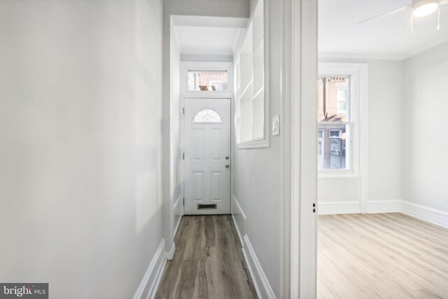 doorway to outside with ceiling fan and light wood-type flooring