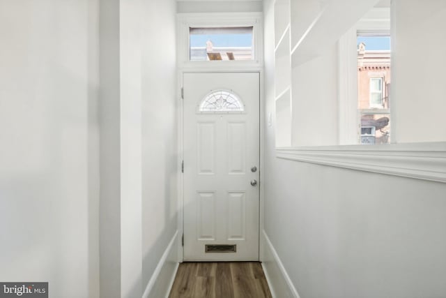 entryway featuring hardwood / wood-style flooring