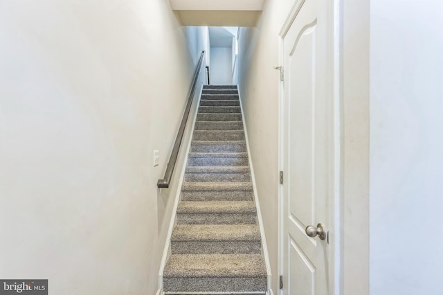 stairway with carpet flooring