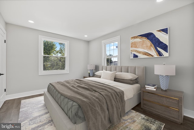 bedroom featuring multiple windows and hardwood / wood-style flooring