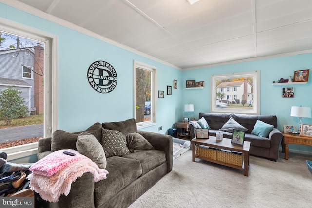 carpeted living room featuring ornamental molding