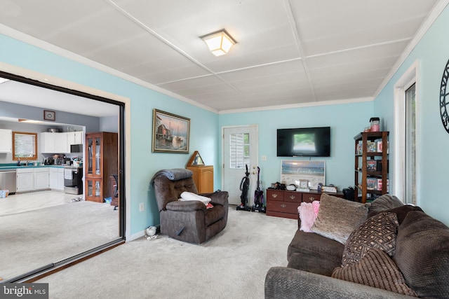 carpeted living room featuring crown molding