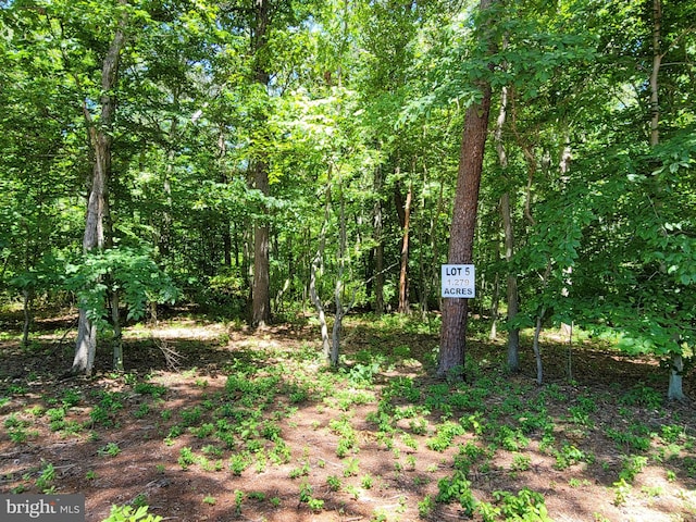 Burrisville Rd, Centreville MD, 21617 land for sale