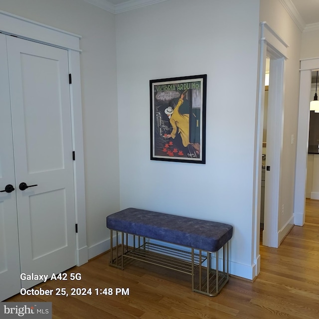 hallway featuring light hardwood / wood-style floors and ornamental molding