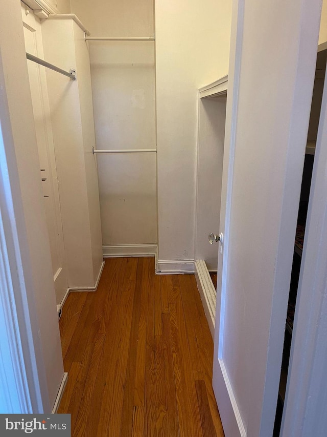 spacious closet with hardwood / wood-style flooring