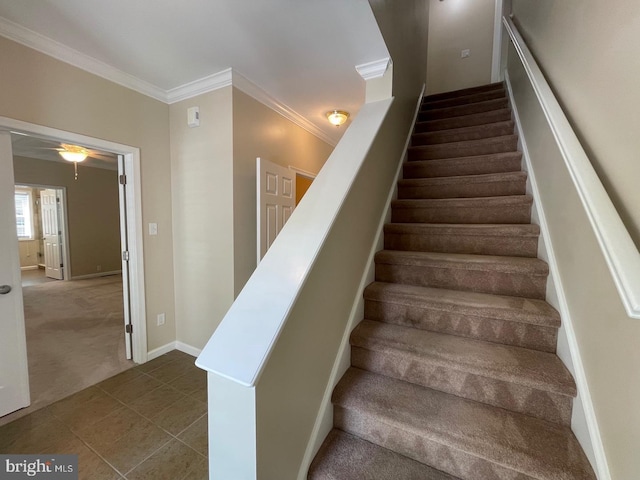 stairway featuring crown molding, carpet, and ceiling fan