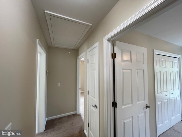 hallway with carpet floors