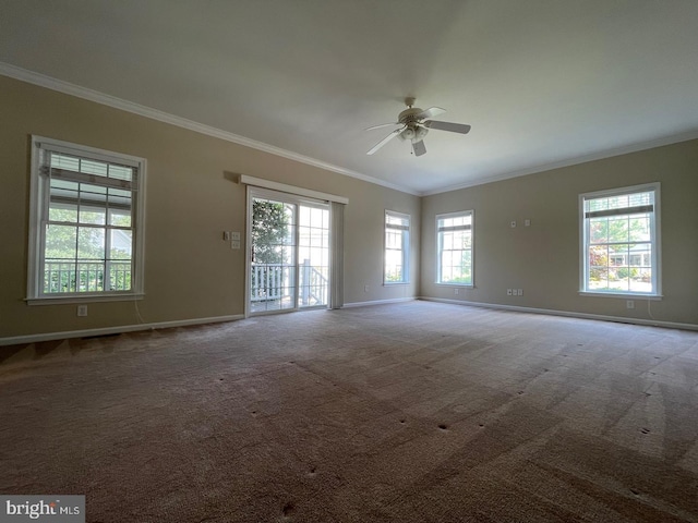 carpeted spare room with crown molding and ceiling fan