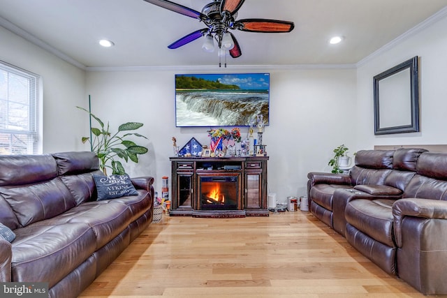 living room featuring ceiling fan, crown molding, and light hardwood / wood-style flooring