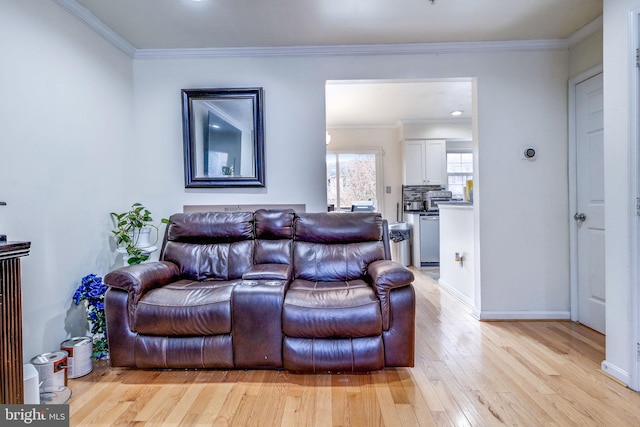 living room featuring ornamental molding and light hardwood / wood-style flooring