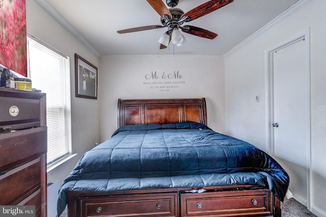 bedroom featuring ceiling fan, multiple windows, and ornamental molding