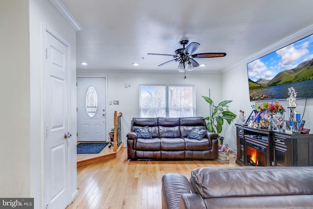 living room with ceiling fan, light wood-type flooring, and crown molding