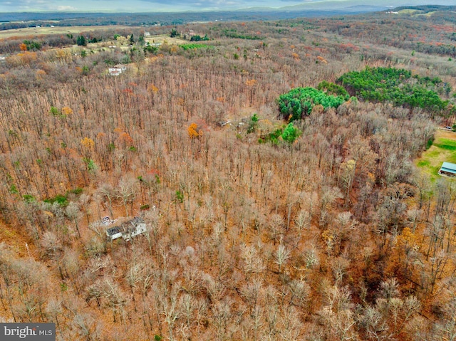 bird's eye view