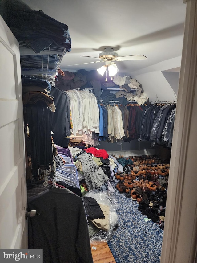 spacious closet featuring wood-type flooring and ceiling fan