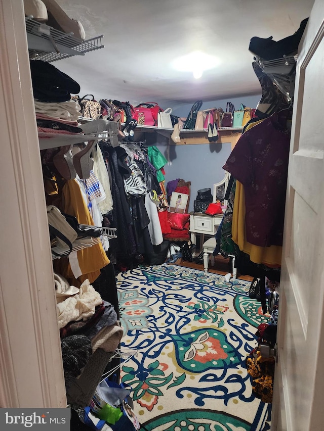 view of spacious closet