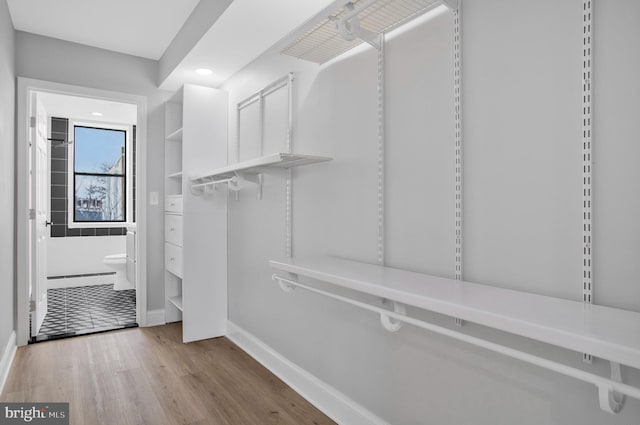 spacious closet with light hardwood / wood-style floors