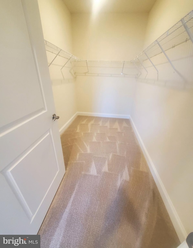 walk in closet featuring light colored carpet