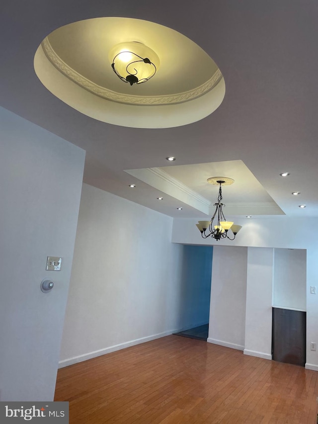 spare room featuring a raised ceiling and hardwood / wood-style floors