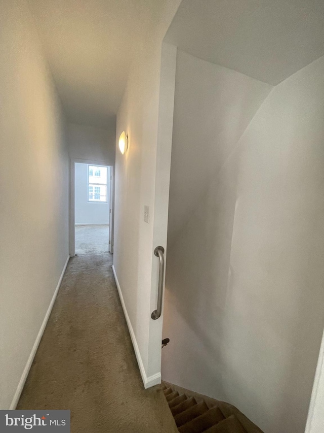 hallway with carpet flooring