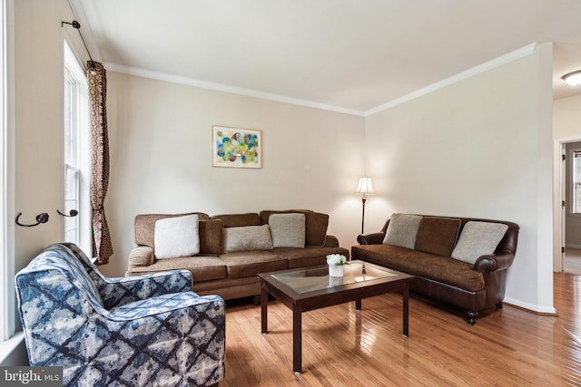 living room featuring crown molding and hardwood / wood-style flooring