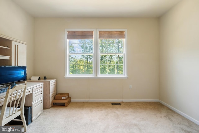 unfurnished office featuring light carpet