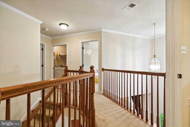 corridor with crown molding and carpet