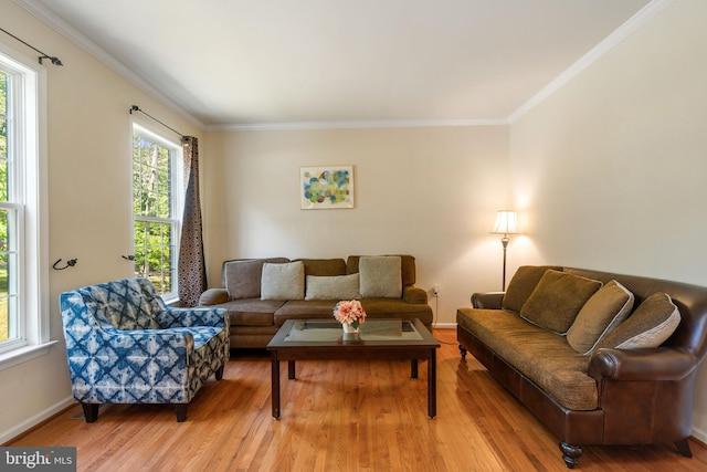 living room with hardwood / wood-style floors and crown molding