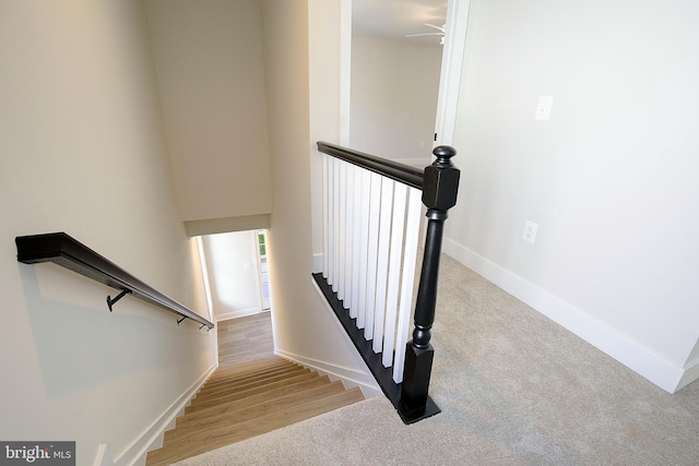 staircase featuring wood-type flooring