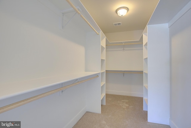 walk in closet with light carpet