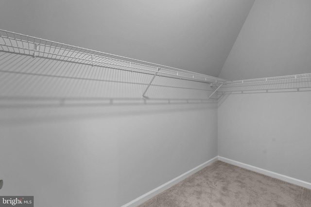 spacious closet with carpet flooring