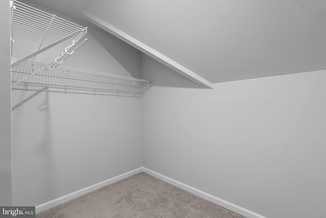 spacious closet with carpet floors