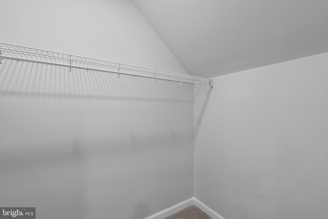 walk in closet with carpet flooring and lofted ceiling