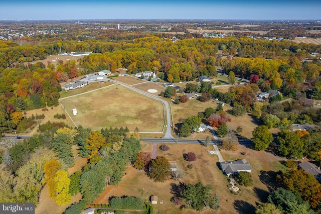 bird's eye view