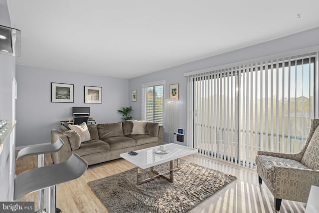 living room with light wood-type flooring