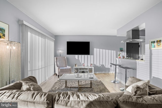 living room with light wood-type flooring