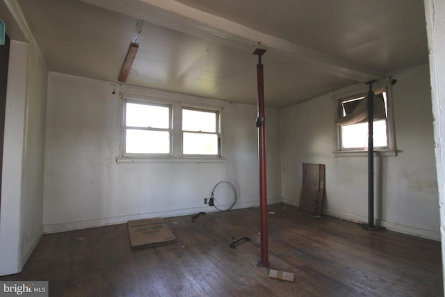 interior space featuring plenty of natural light and dark wood-type flooring