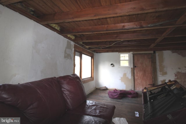 basement with hardwood / wood-style flooring