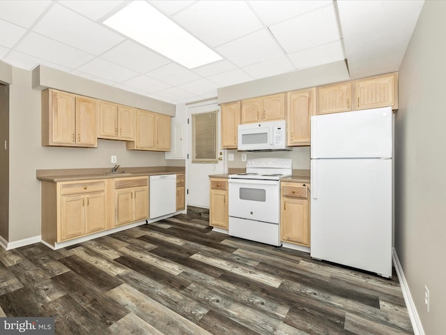 kitchen with light brown cabinetry, white appliances, dark hardwood / wood-style flooring, and a paneled ceiling