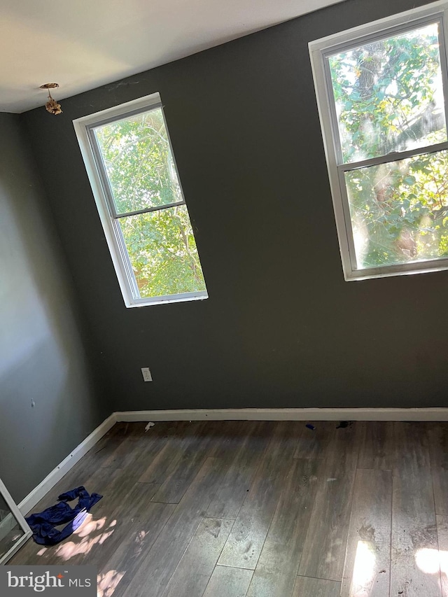 empty room with dark wood-type flooring