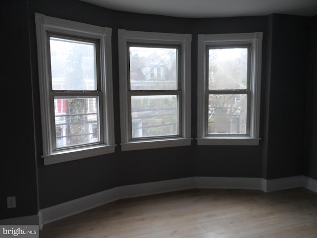 spare room featuring a healthy amount of sunlight and light hardwood / wood-style floors