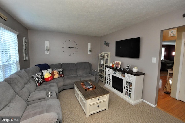 living room featuring a textured ceiling and hardwood / wood-style floors