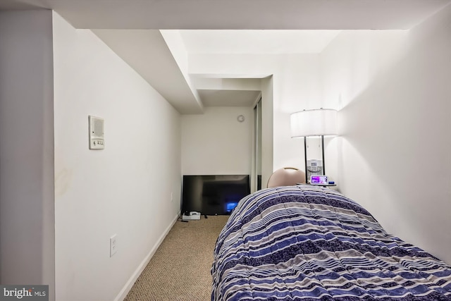 bedroom with carpet floors